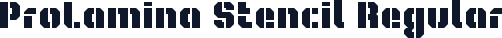 ProLamina Stencil Regular