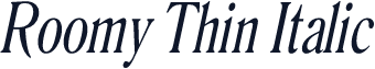 Roomy Thin Italic