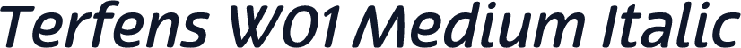 Terfens W01 Medium Italic