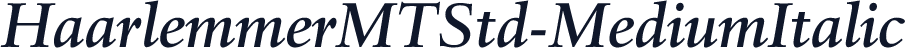HaarlemmerMTStd-MediumItalic
