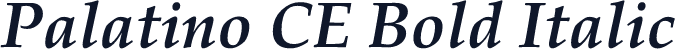 Palatino CE Bold Italic