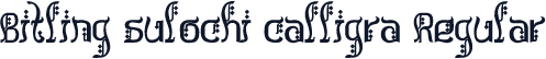 Bitling sulochi calligra Regular