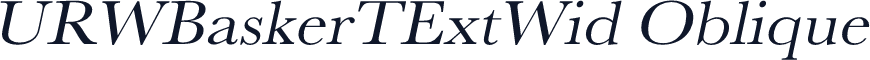 URWBaskerTExtWid Oblique
