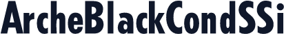 ArcheBlackCondSSi