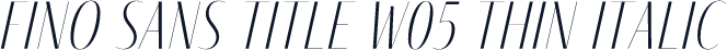 Fino Sans Title W05 Thin Italic