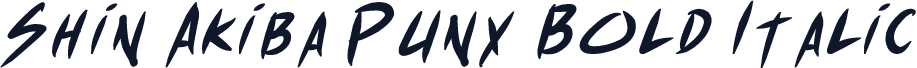 Shin Akiba Punx Bold Italic