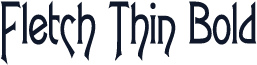 Fletch Thin Bold