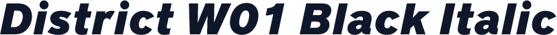 District W01 Black Italic