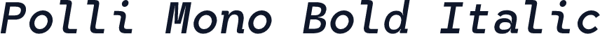 Polli Mono Bold Italic