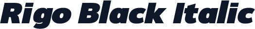 ☞Rigo Black Italic