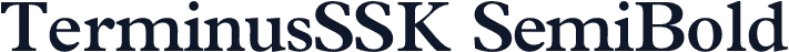TerminusSSK SemiBold