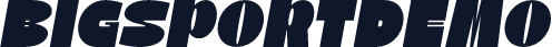 BigSportDemo