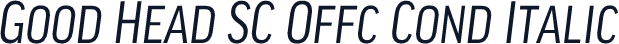 Good Head SC Offc Cond Italic