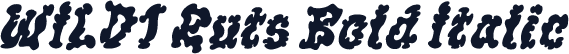 WILD1 Ruts Bold Italic