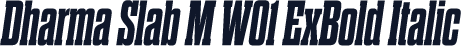 Dharma Slab M W01 ExBold Italic