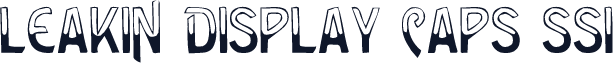 Leakin Display Caps SSi