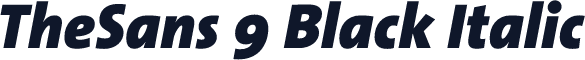 TheSans 9 Black Italic