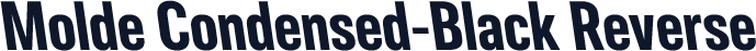Molde Condensed-Black Reverse