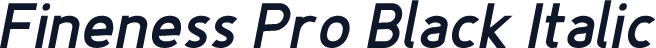 Fineness Pro Black Italic