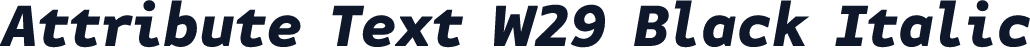 Attribute Text W29 Black Italic
