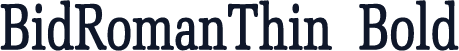 BidRomanThin  Bold