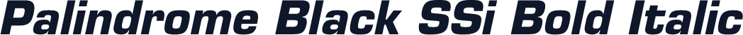Palindrome Black SSi Bold Italic