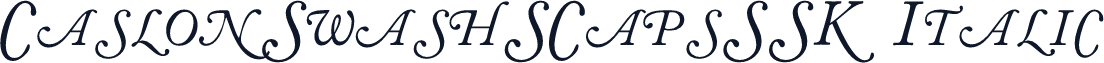 CaslonSwashSCapsSSK Italic