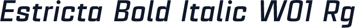 Estricta Bold Italic W01 Rg