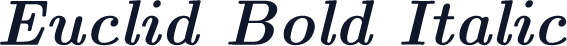 Euclid Bold Italic