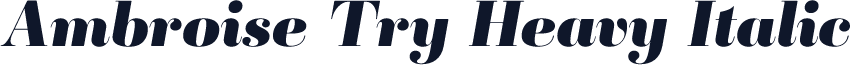 Ambroise Try Heavy Italic