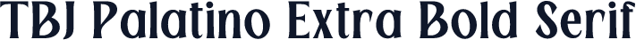TBJ Palatino Extra Bold Serif