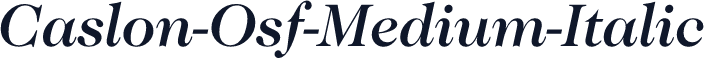 Caslon-Osf-Medium-Italic