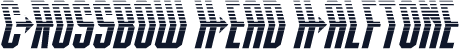 Crossbow Head Halftone