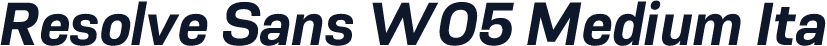 Resolve Sans W05 Medium Ita
