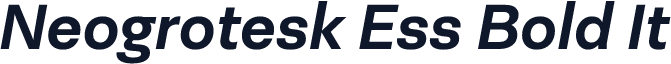 Neogrotesk Ess Bold It