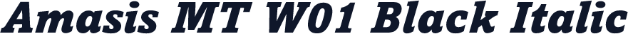 Amasis MT W01 Black Italic