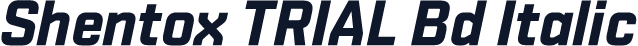 Shentox TRIAL Bd Italic