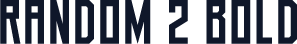Random 2 Bold