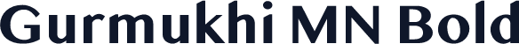 Gurmukhi MN Bold