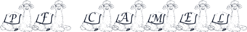 pf_camel1