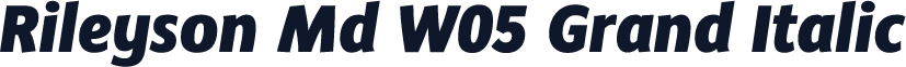 Rileyson Md W05 Grand Italic
