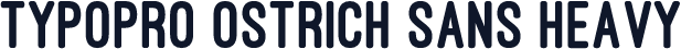 TypoPRO Ostrich Sans Heavy