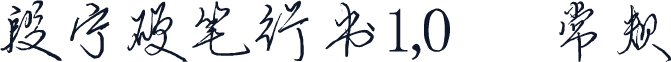段宁硬笔行书1,0 常规