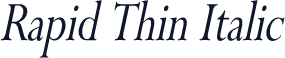 Rapid Thin Italic
