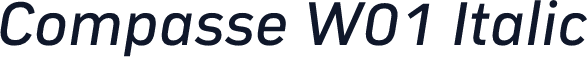 Compasse W01 Italic