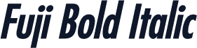 Fuji Bold Italic
