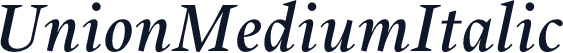 UnionMediumItalic