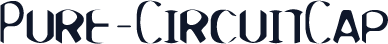 Pure-CircuitCap