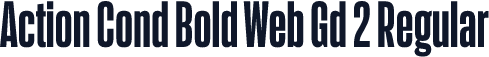 Action Cond Bold Web Gd 2 Regular