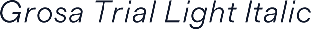 Grosa Trial Light Italic